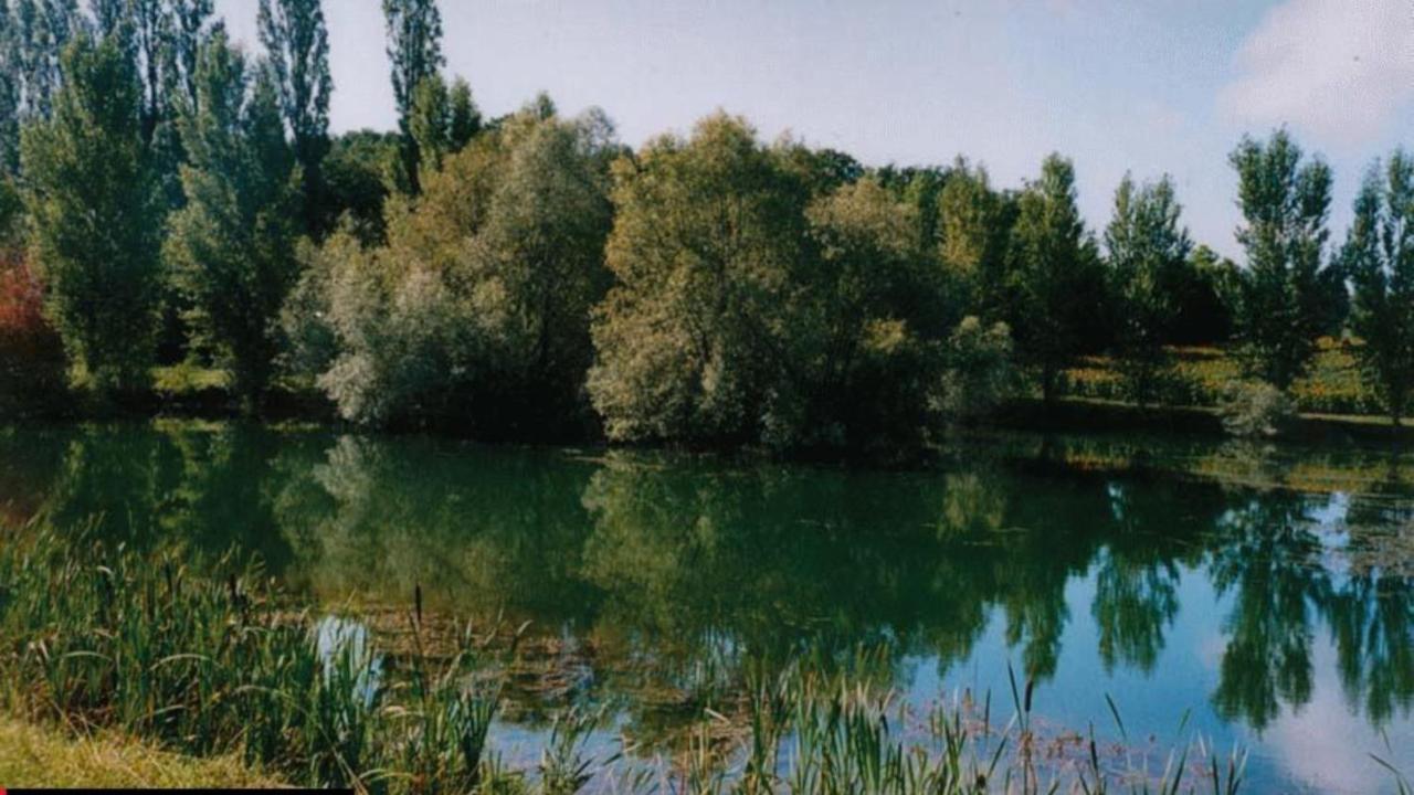 La Decouverte, Jacuzzi, Sauna, Et Terrasse Avec Vue Sur Lac A La Campagne Entre Toulouse Et Auch Villa Catonvielle Exterior photo