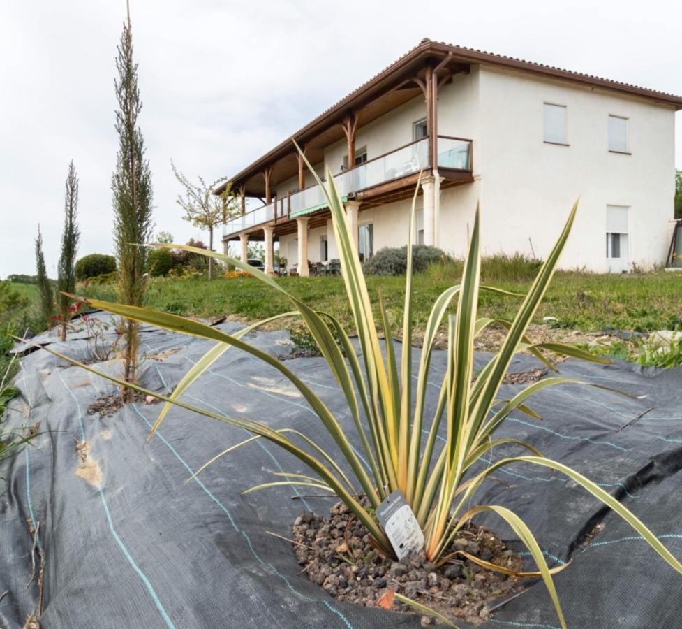 La Decouverte, Jacuzzi, Sauna, Et Terrasse Avec Vue Sur Lac A La Campagne Entre Toulouse Et Auch Villa Catonvielle Exterior photo